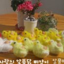 삐약이