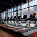 피트니스247 이미지