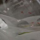 도마더블유피부과의원 이미지