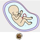 김지호 복싱 다이어트 이미지