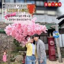 모리가든식당앞, 현불사들어가는 입구 | [국내여행지추천] 동두천 니지모리 스튜디오 일본 감성 데이트 명소 후기