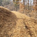 내판주유소 이미지