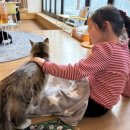 집사의 하루 일산점 이미지