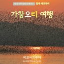 오리여행 네이버블로그