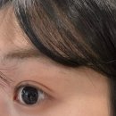 더 터치