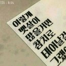 오빠곱창 - 서구 도안북로 101 | 오빠곱창