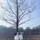 장터원조