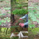 강림면351 이미지