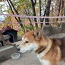 미인힐링 이미지