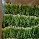 장수엄마 농장 이미지