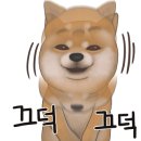 스시쿄다이 이미지