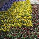 거북공원-2　 이미지