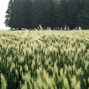 용산-현장-1991 이미지