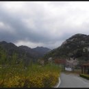 거북이동산 이미지