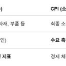 내일은 ppi지수 발표 이미지