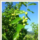 병현농장 이미지