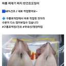 피데기 파지 반건조오징어 이미지