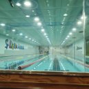 리틀아레나 이미지