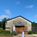 이호그린 이미지