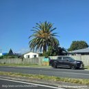 켈리포니아헬스 | 호주] 엄마랑 여름 뉴질랜드 2일차 / 로토루아에서 마오리족 공연 관람,레드우즈 트리 워크, 헬스게이트