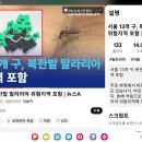 오물풍선 때문인가??? 🚨서울 13개 구, 북한발 말라리아 위험지역 포함 이미지