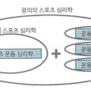 짐스포츠