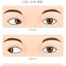 사시월 이미지