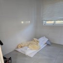 뜨레놀레 키즈풀빌라 이미지