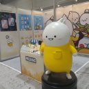 (주)마젤디파인 이미지