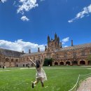 세인트빌딩 | 시드니 여행 3탄｜시티투어 후기 (세인트 메리 성당·퀸빅토리아 빌딩·옵저버토리힐·키리빌리·시드니...