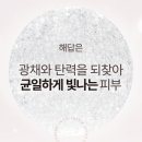 인셀덤팰리스