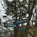 화북보건지소 티스토리