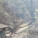 돼지골 뜨란 이미지