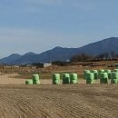 중로(보)2-1-5 이미지