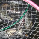 양지저수지 이미지