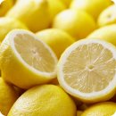 레몬라이프 이미지
