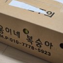 🍑웅이네 복숭아 후기🍑