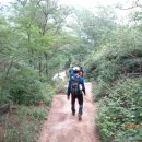 고은초등학교 이미지