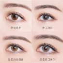 밝은눈안경마트 이미지