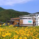 정읍시립박물관 이미지