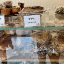 어글리에그 이미지