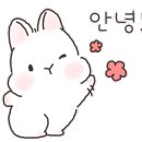 수피아공방 - 김포시 용강로437번길 11 | 수피아공방