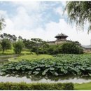 수원-1709 이미지