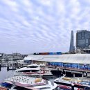 블루웨일 | (오세아니아/호주) 시드니 페더웨일&amp;블루마운틴 투어 후기