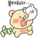 극동 프로복싱 체육관 이미지