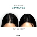 도트락강서점