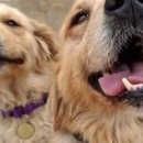 직전농장 이미지