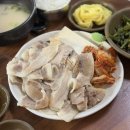 부산 사하구 맛집 영진돼지국밥 본점 주말 점심 웨이팅 후기