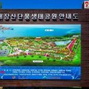 내장산 단풍생태공원 이미지