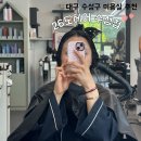 헤어마스터 | 대구 수성구 미용실 추천 기장 추가 없는 미용실 26도헤어 수성점 레온마스터 클리닉 후기